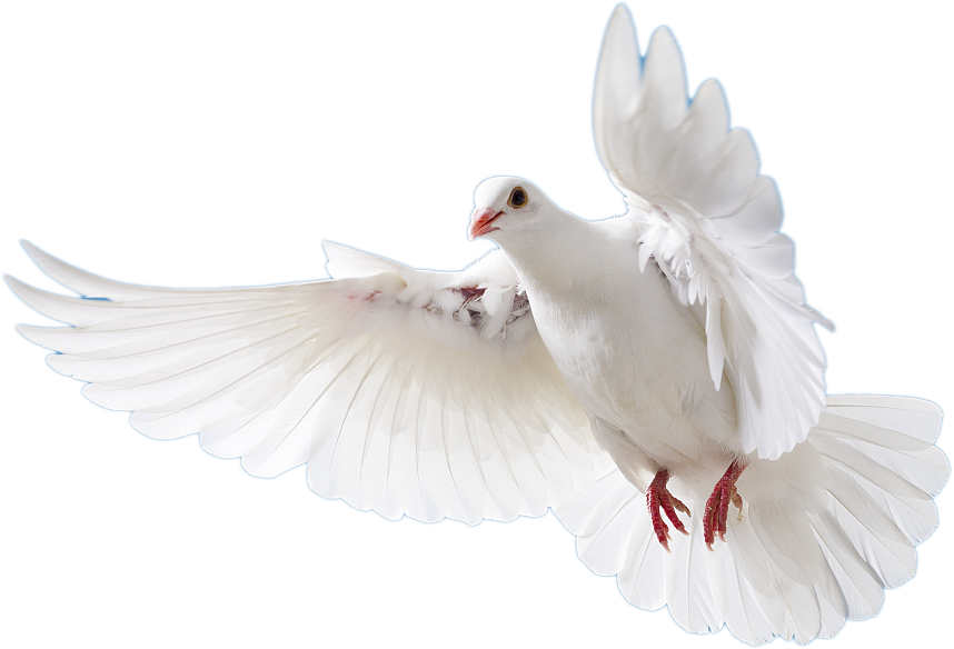 Stake(�й���)�ٷ���վ